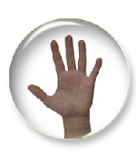 Тренажёр памяти